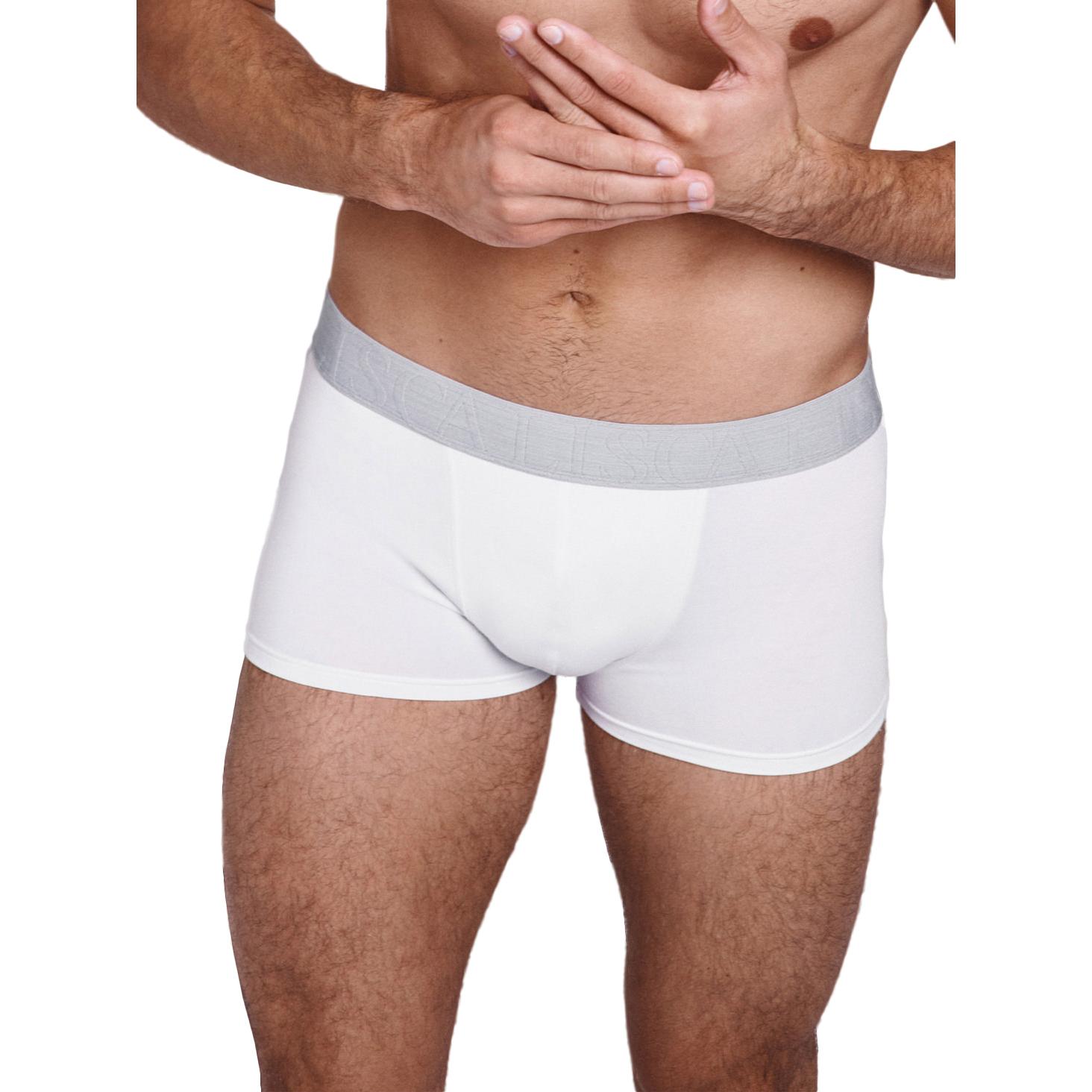 3838709945882 - Boxer Hercules