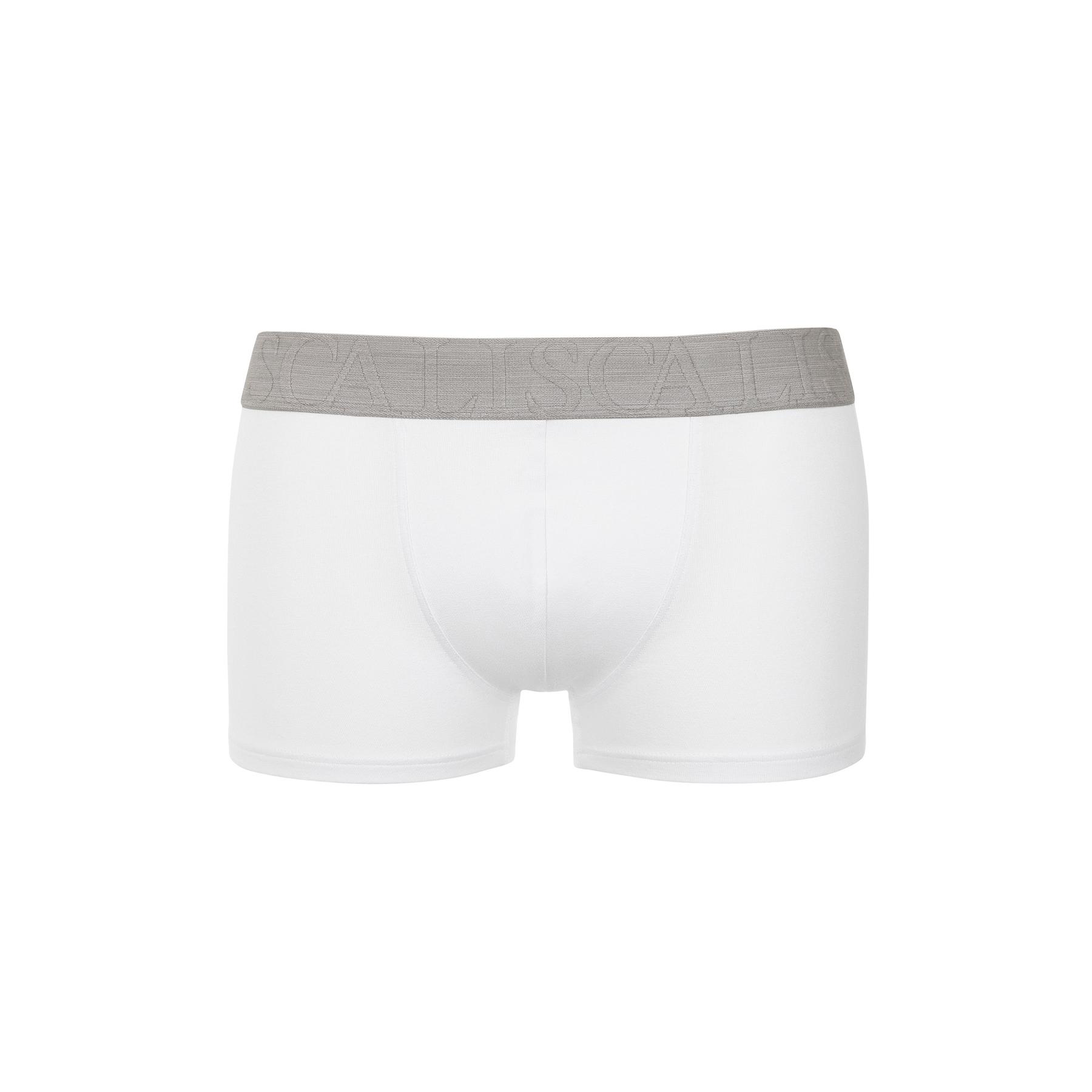 3838709945882 - Boxer Hercules