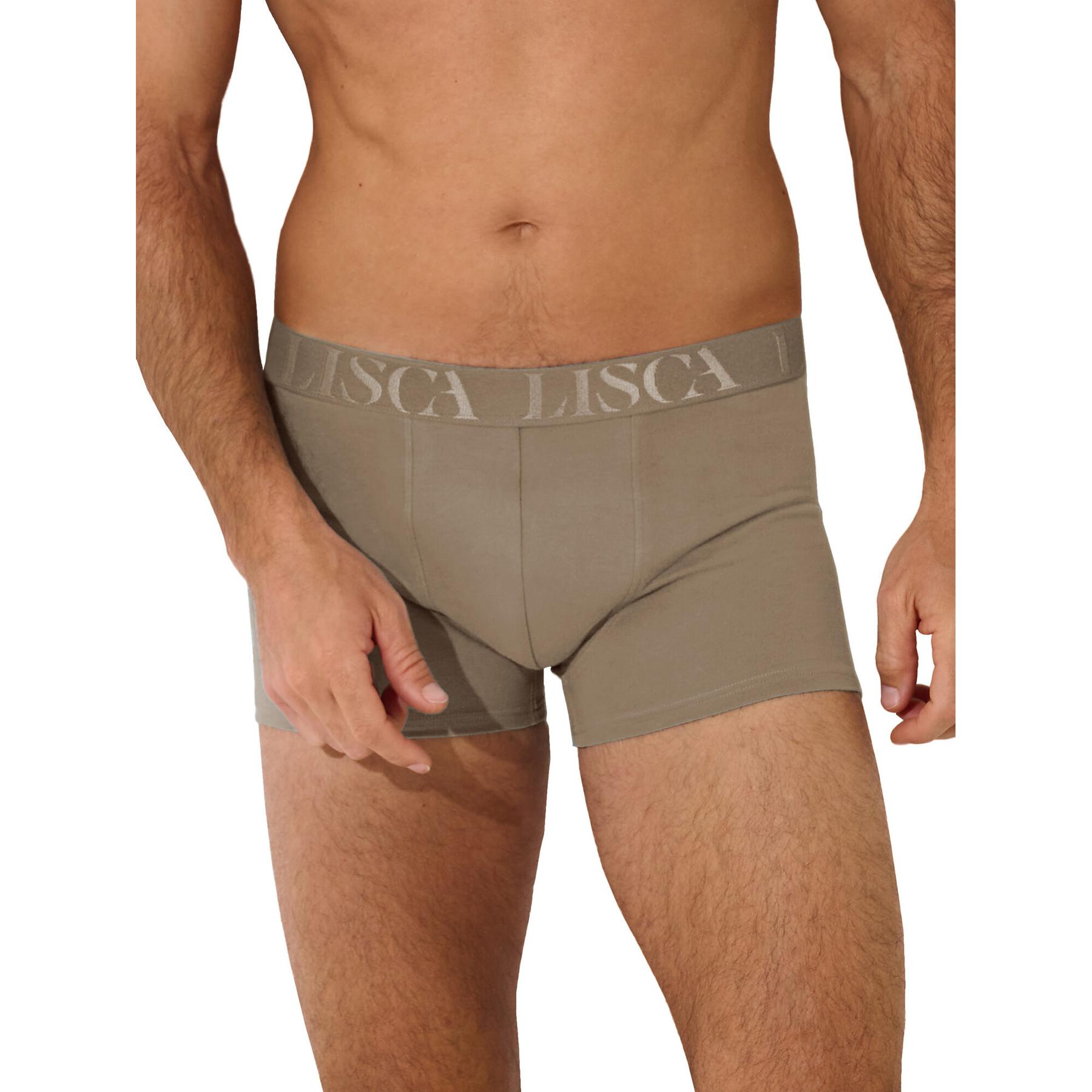 3838411403922 - Boxer Odysseus