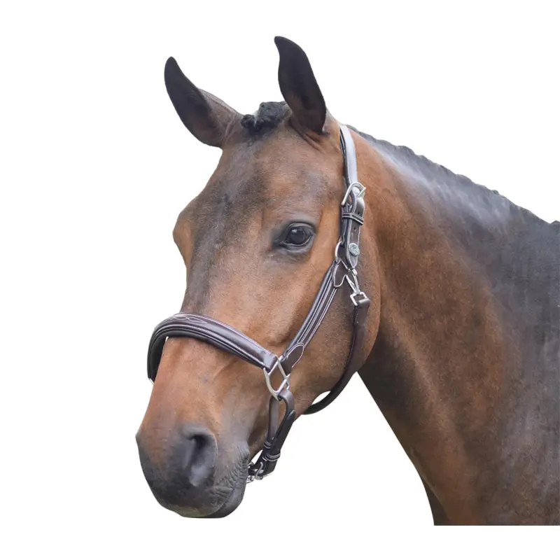 Licol pour cheval Jump'In Week
