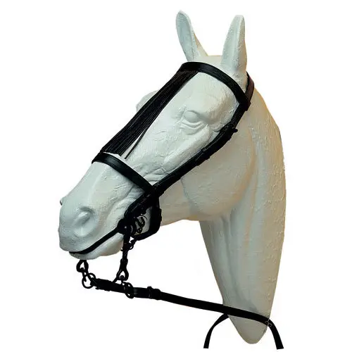 Bridon équitation Ludomar