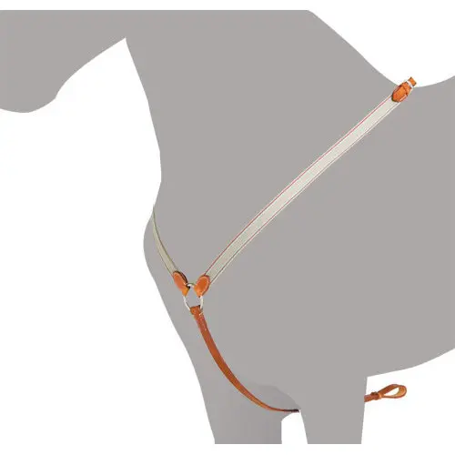 Collier de chasse pour cheval Ludomar