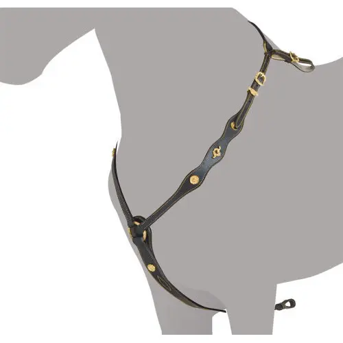Collier de chasse pour cheval Ludomar Ludomar