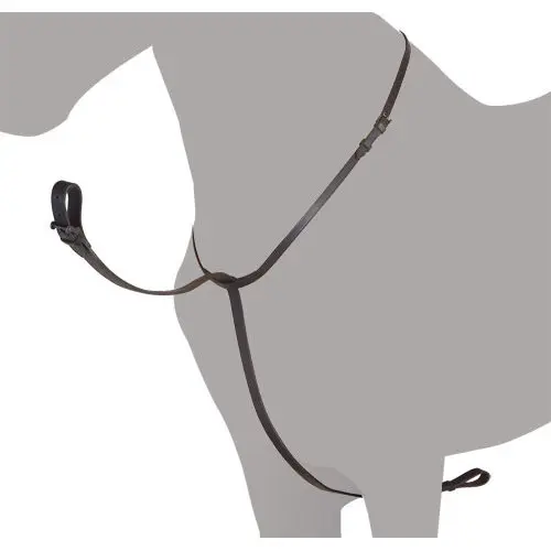 Martingale pour cheval Ludomar Gamarra Vaquera