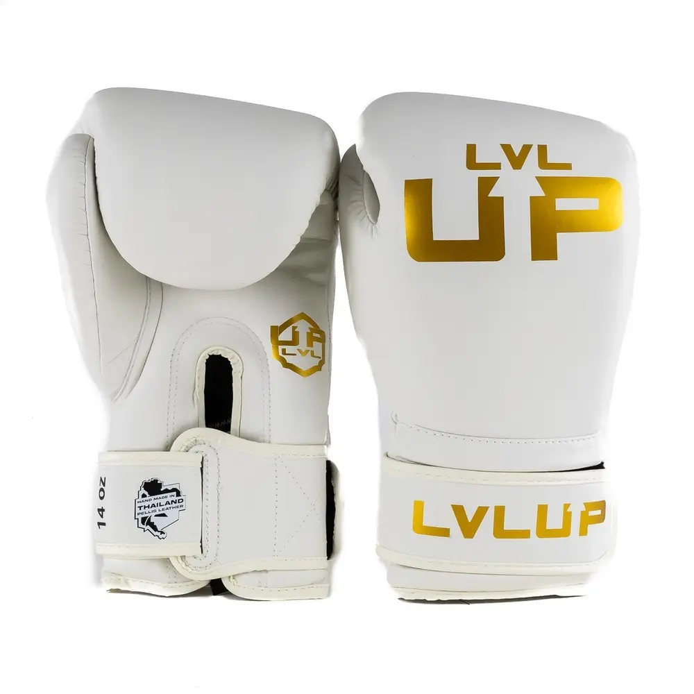 Boxhandschuhe Lvl Up UP BG 3