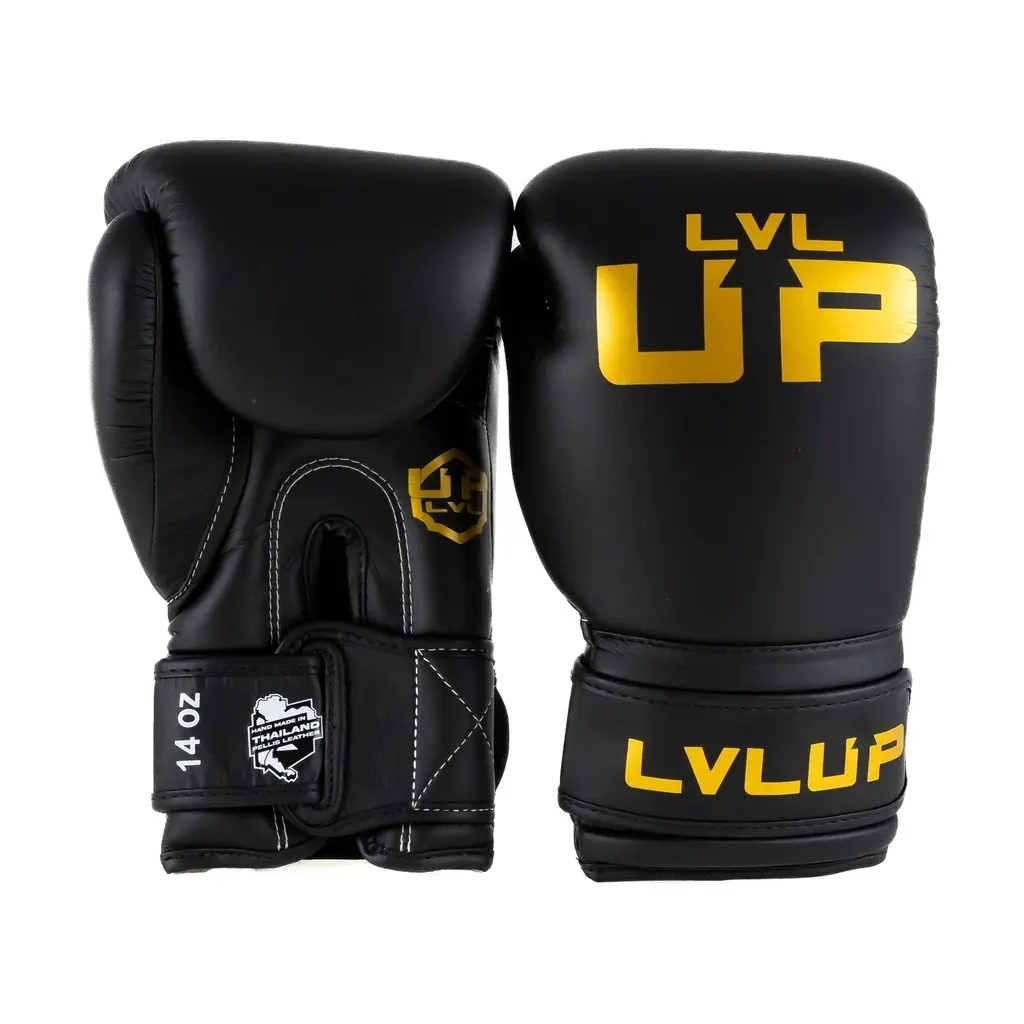 Boxhandschuhe Lvl Up UP BG 4
