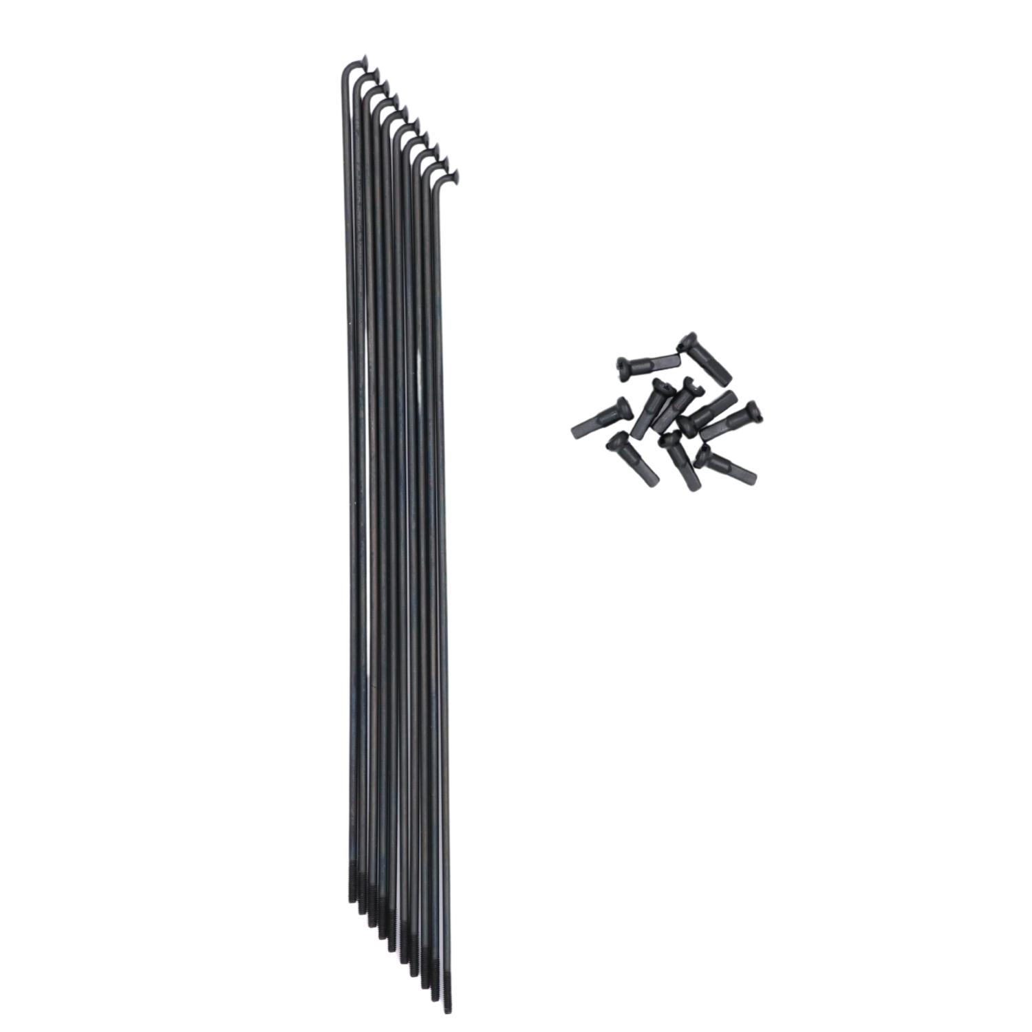 Velo Store - UK Rayon Mach1 (x10) | Extra 10% off with Subscription, Postage £16.79 to UK Fedex.