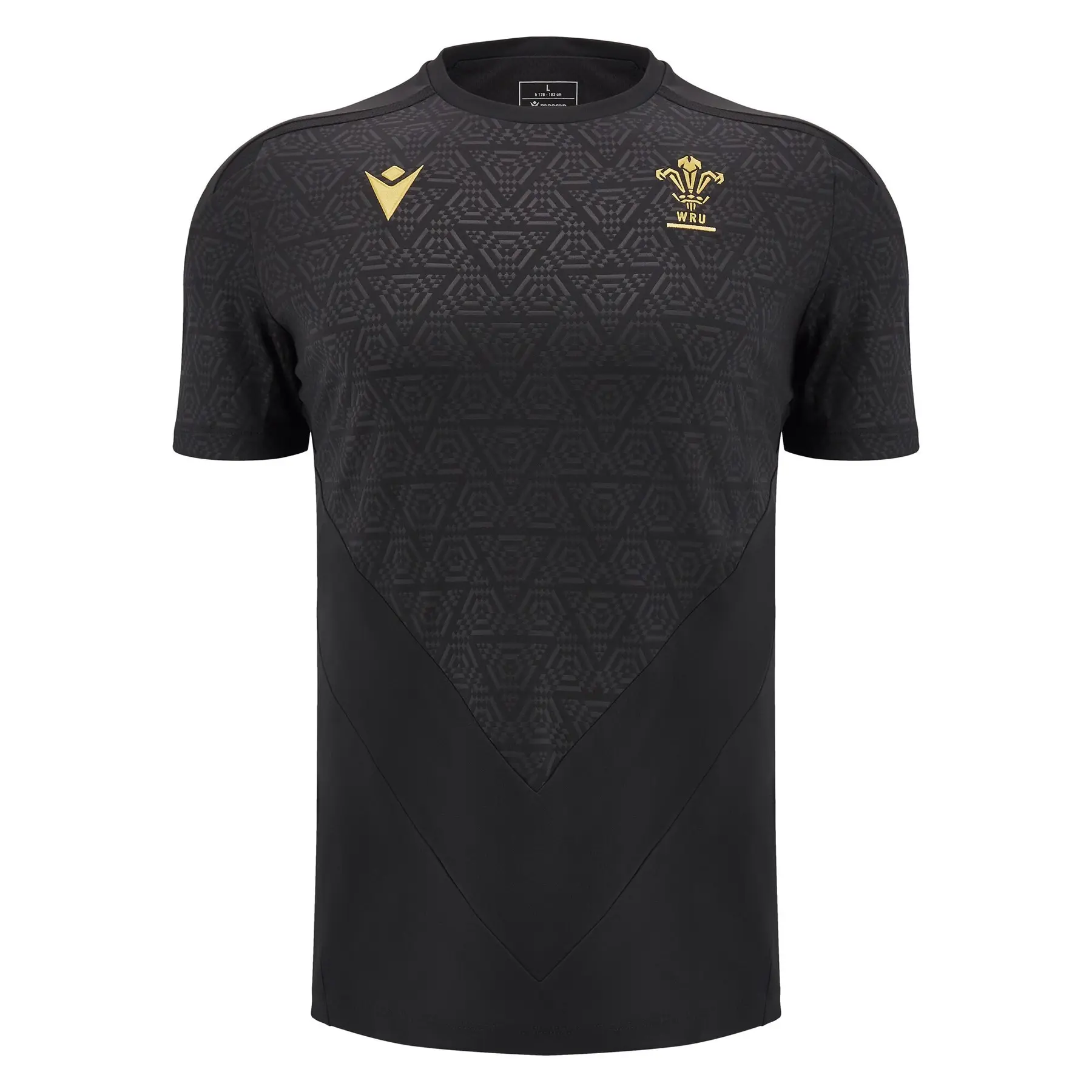 Trainingsshirt Wales 2024