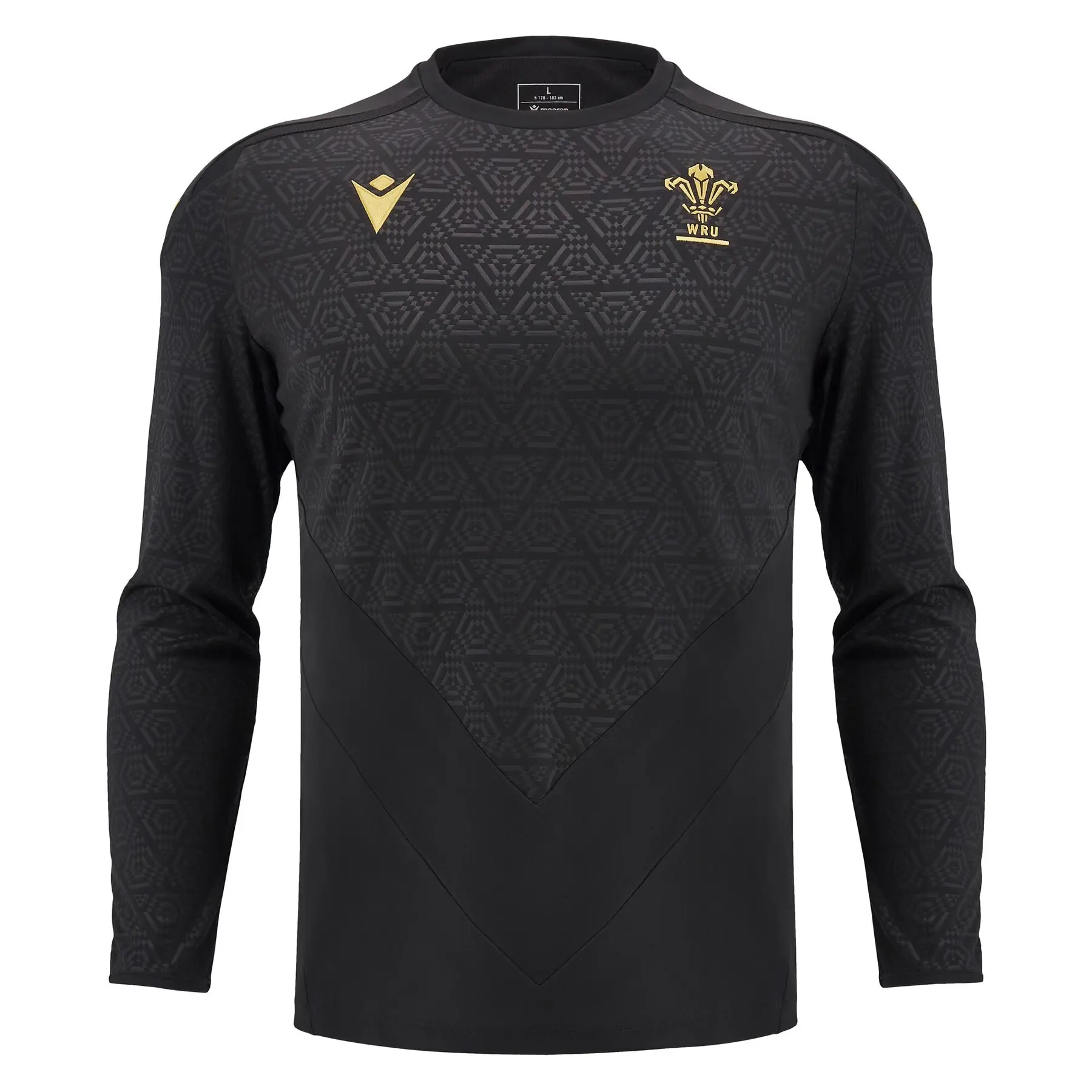Trainingsshirt mit langen Ärmeln Wales 2024