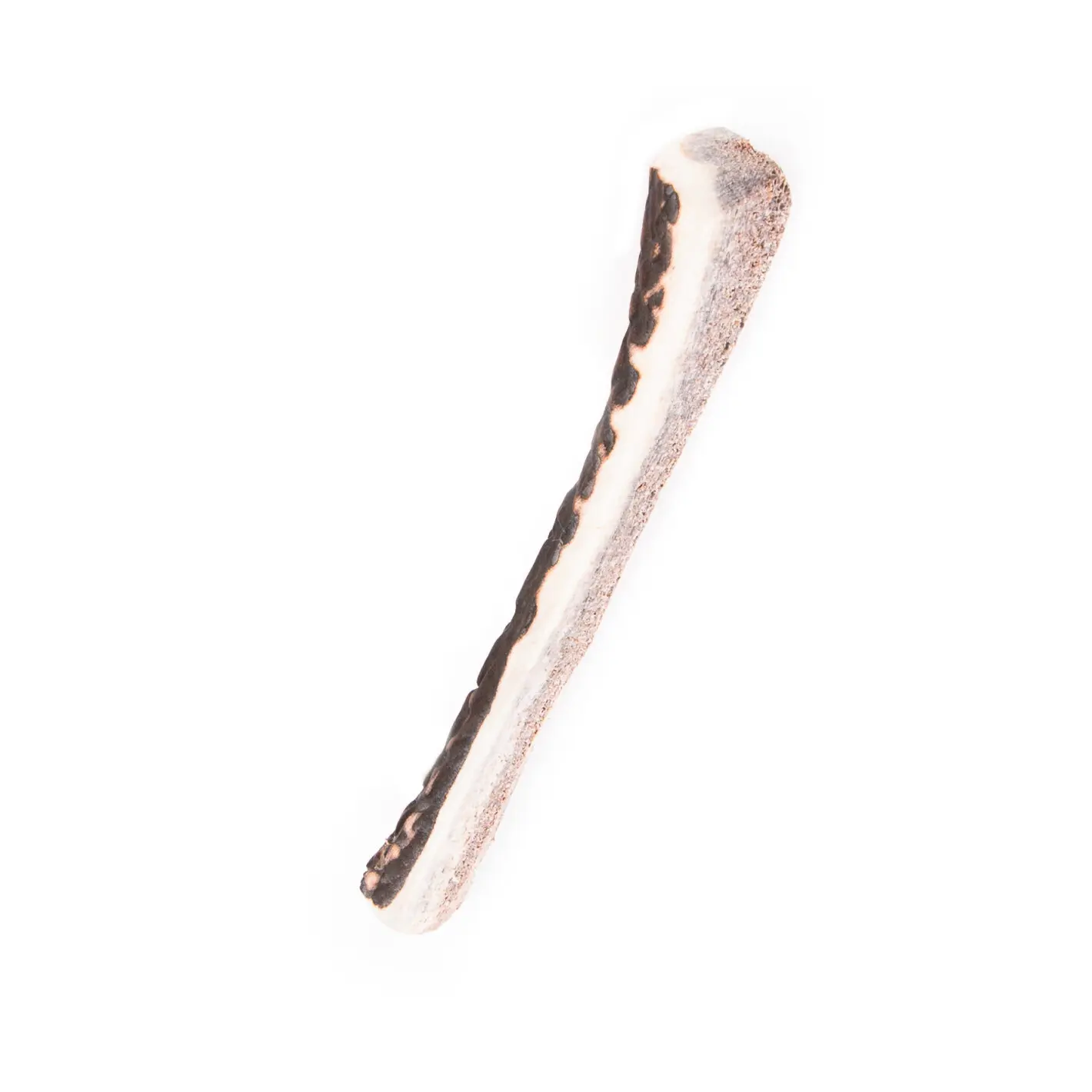 Meilleurs prix pour Jouet pour chien demi bois de cerf biseau Martin Sellier 20-45 g