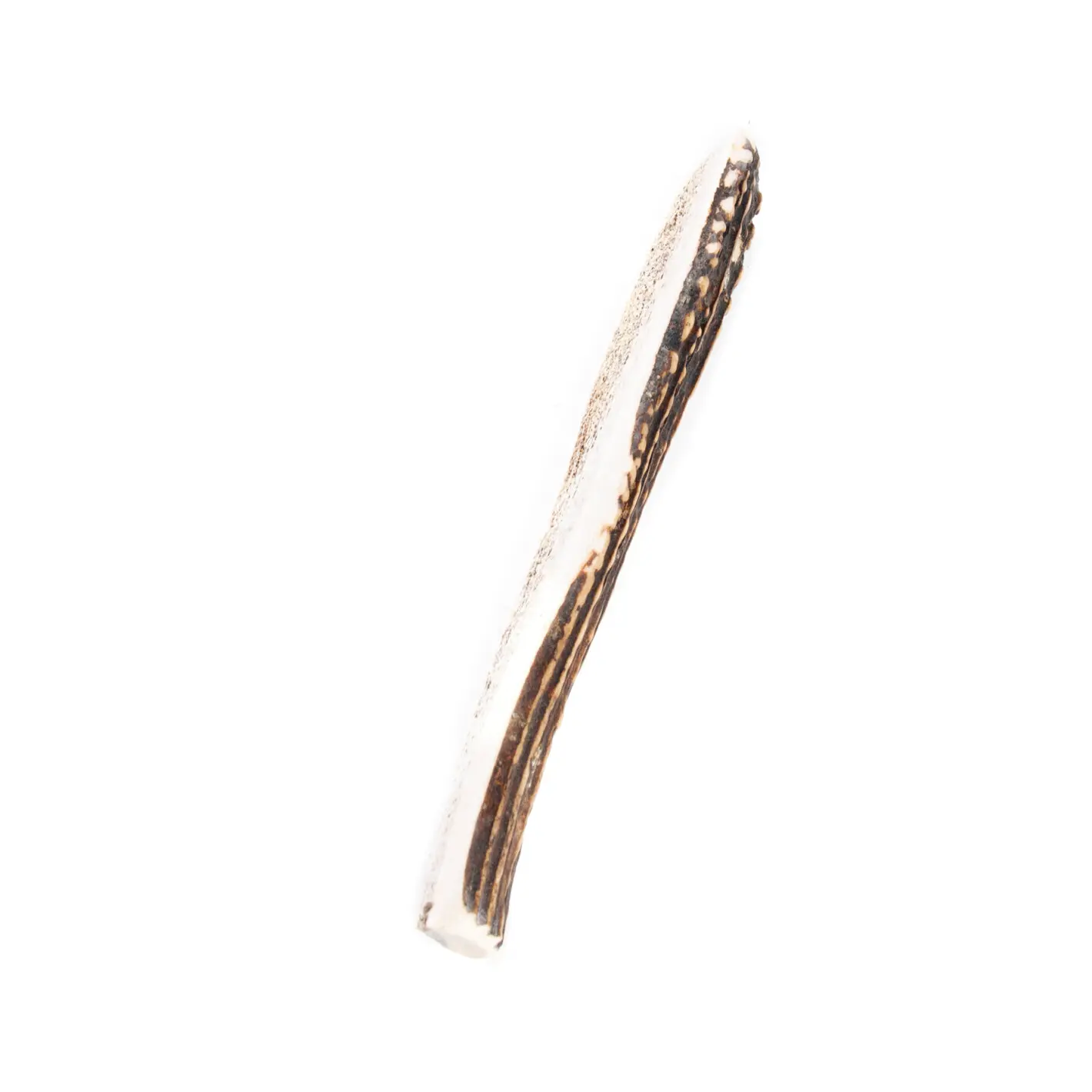 Comparer les prix de Jouet pour chien demi bois de cerf biseau Martin Sellier 60-80 g