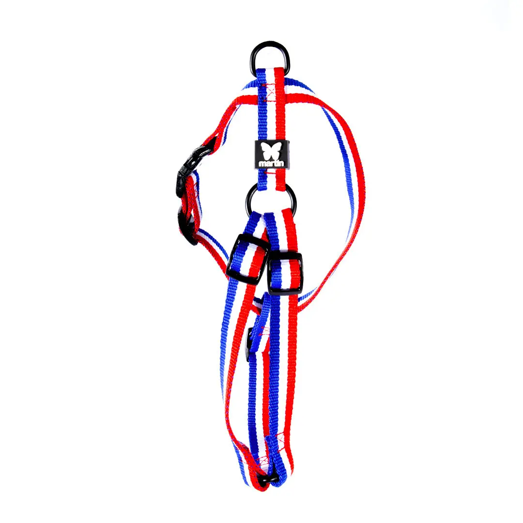 Martin Sellier Rouge Classic Nylon Dog Harness