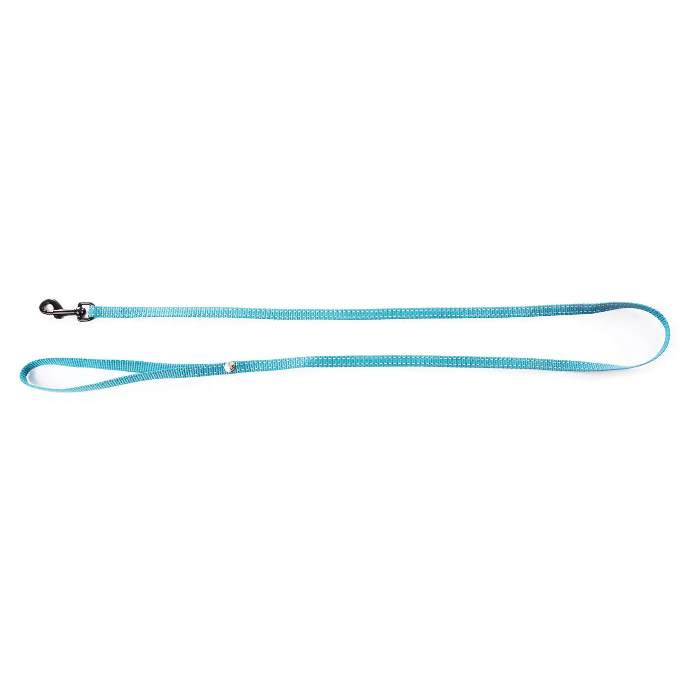 Martin Sellier Bleu Nylon Dog Leash Flash