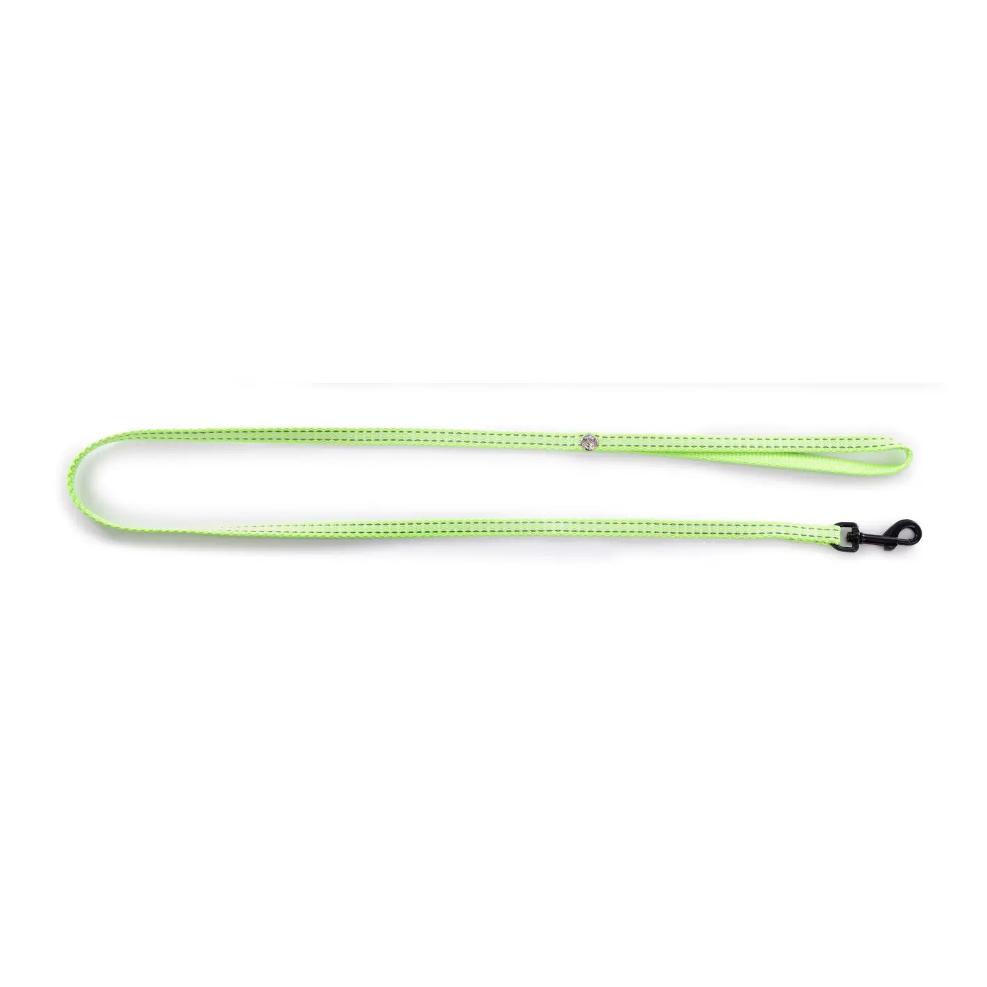 Martin Sellier Vert Nylon Dog Leash Safety