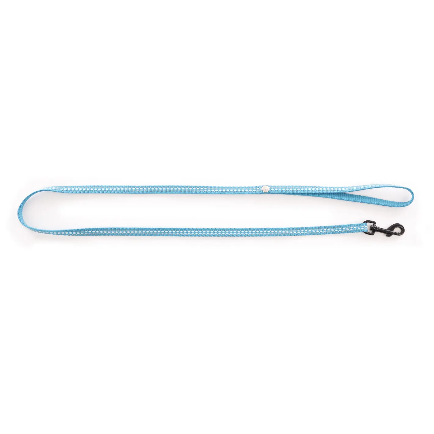 Martin Sellier Bleu Nylon Dog Leash Safety