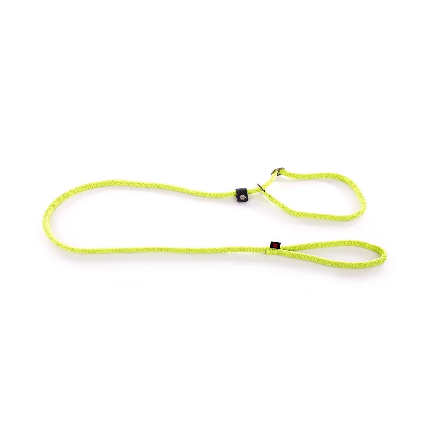 Martin Sellier Vert Classic Nylon Training Dog Lead