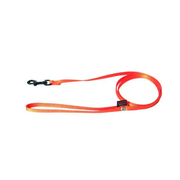 Meilleurs prix pour Laisse pour chien classic nylon Martin Sellier XS