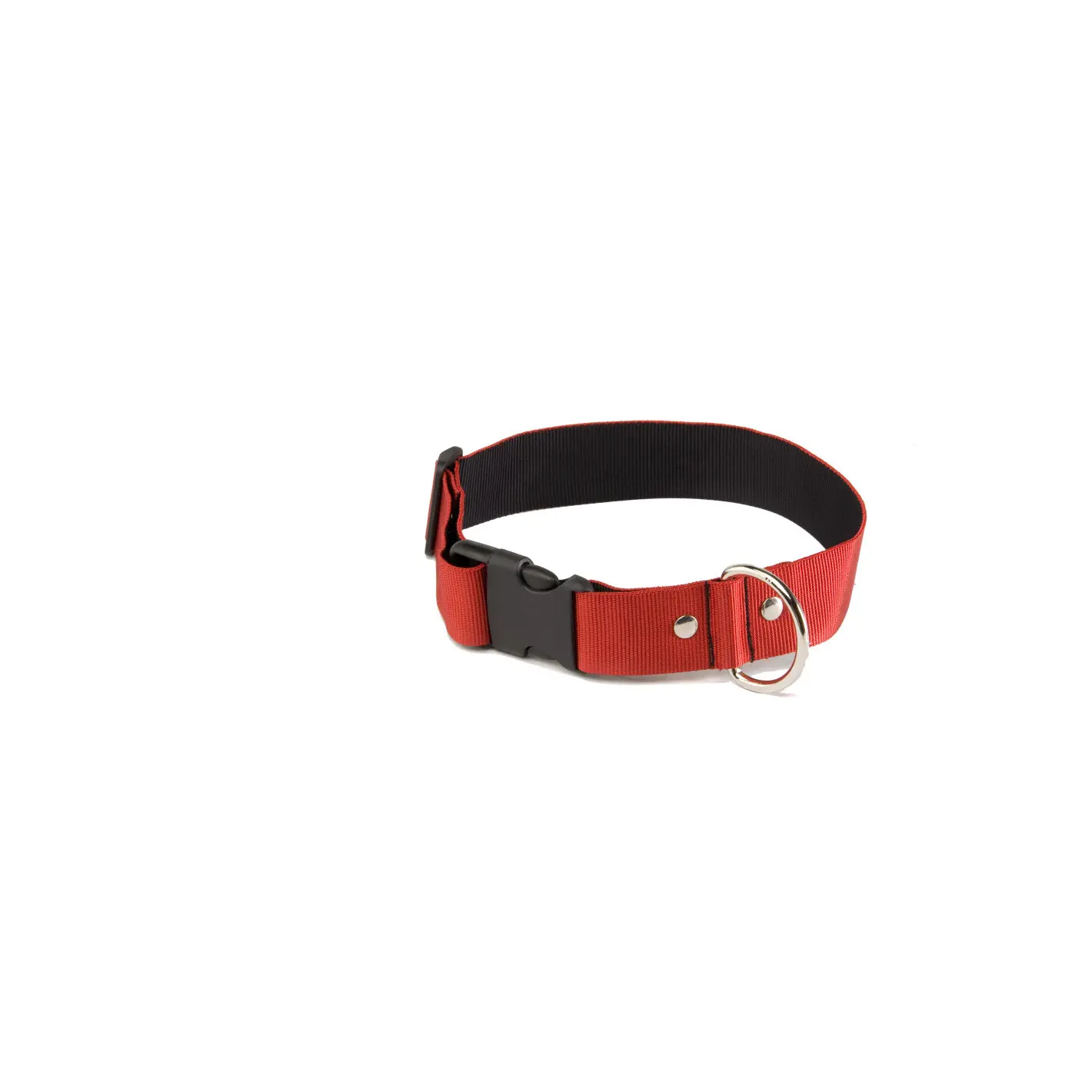 Meilleurs prix pour Collier pour chien Martin Sellier L