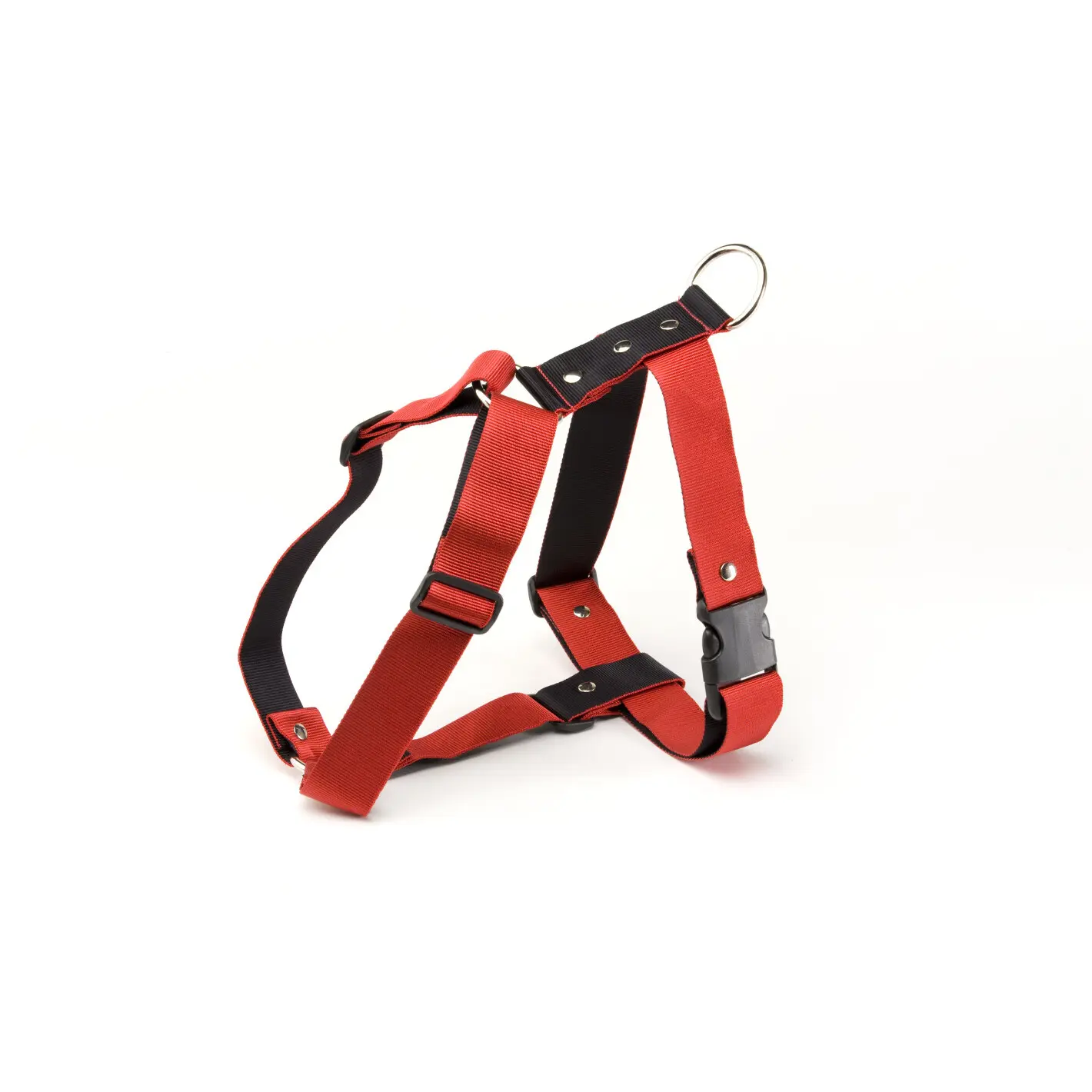 Harnais pour chien Martin Sellier L