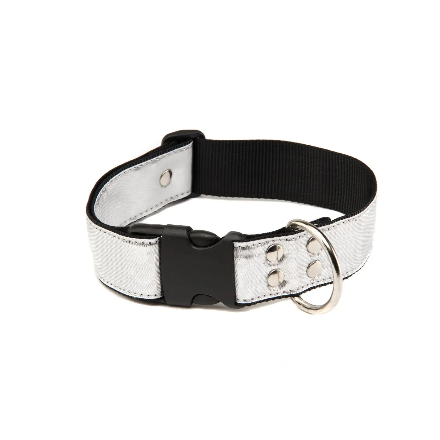 Martin Sellier Blanc Dog Collar L