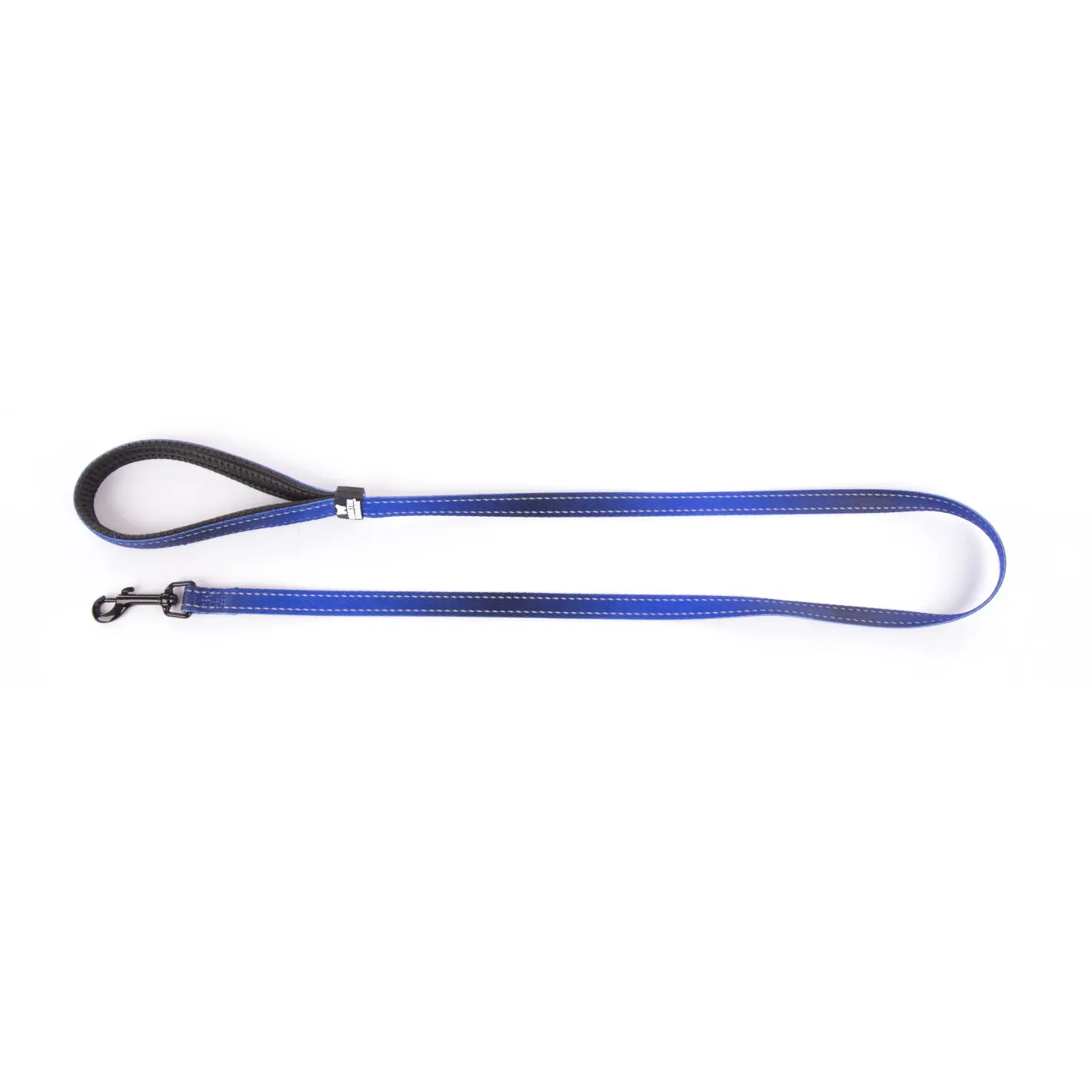 Martin Sellier Bleu Nylon Dog Leash S