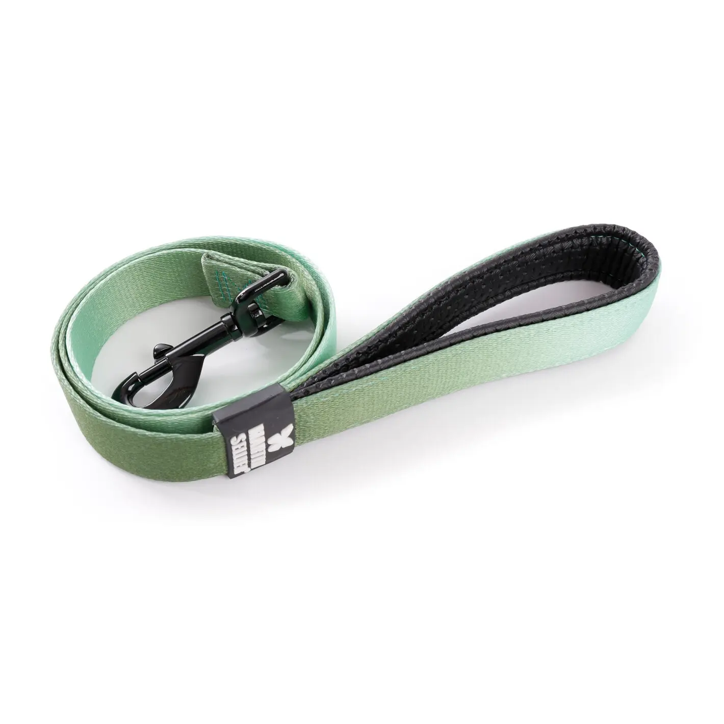 Martin Sellier Vert Nylon Dog Leash L