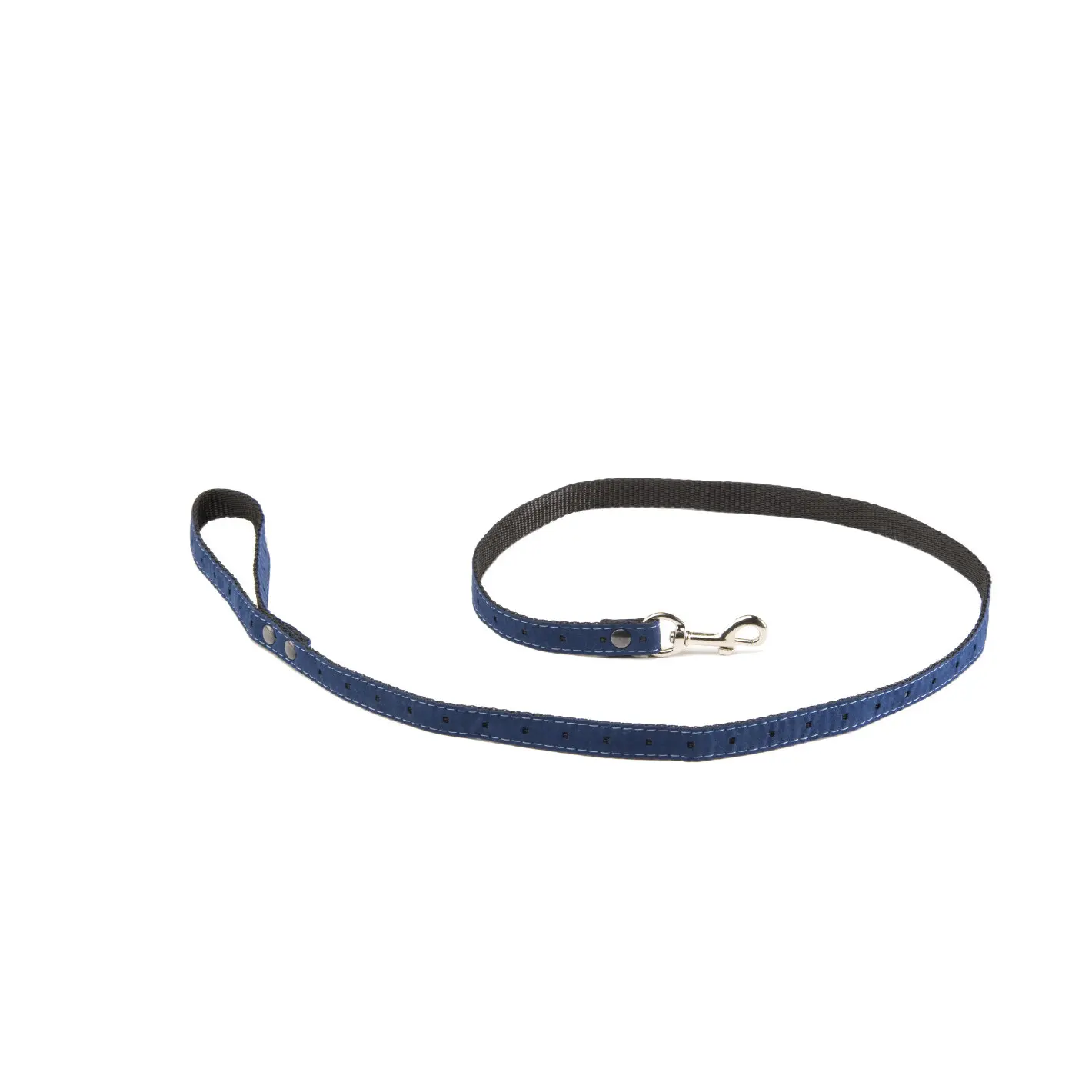 Martin Sellier Bleu Dog Leash