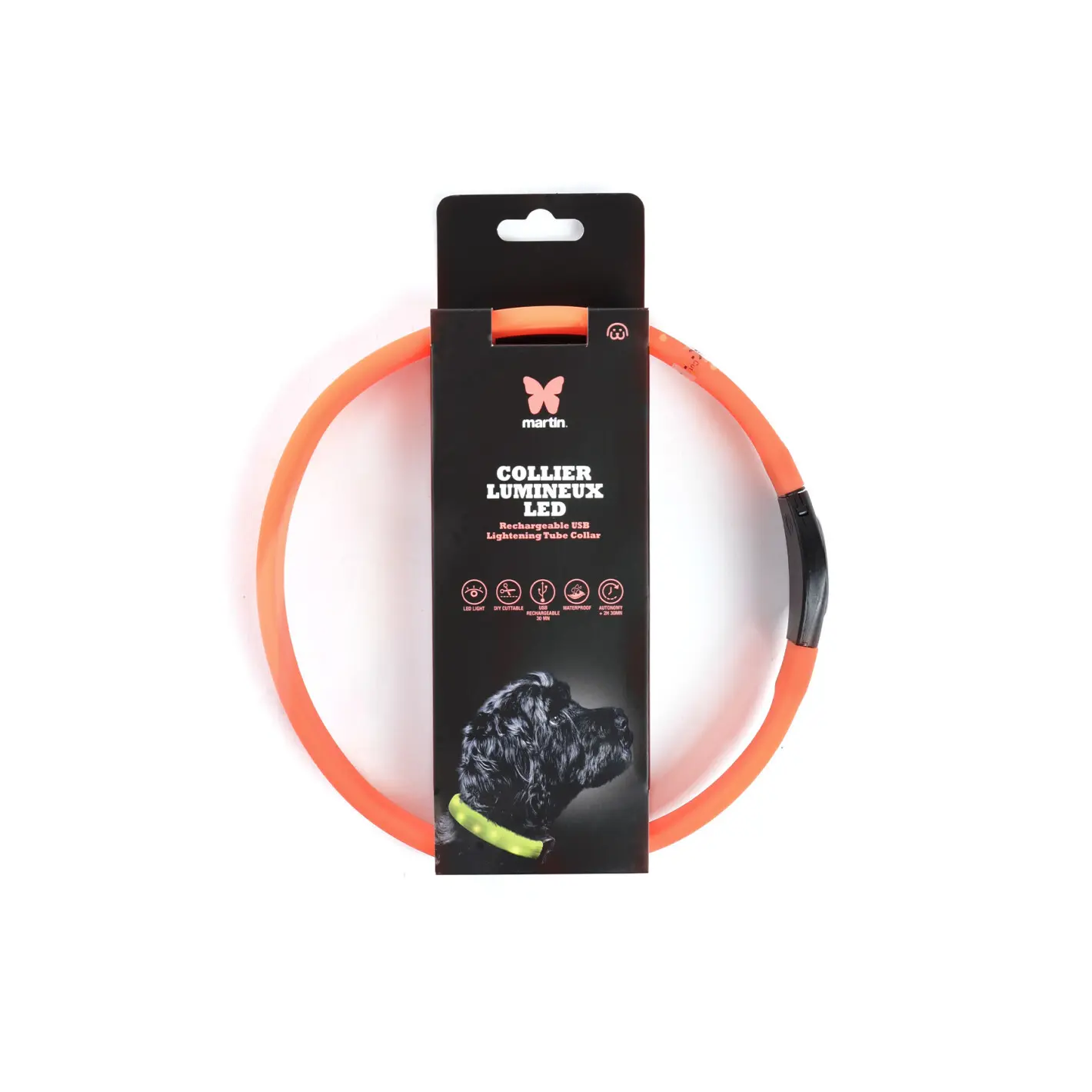 Meilleurs prix pour Collier pour chien tube LED Martin Sellier