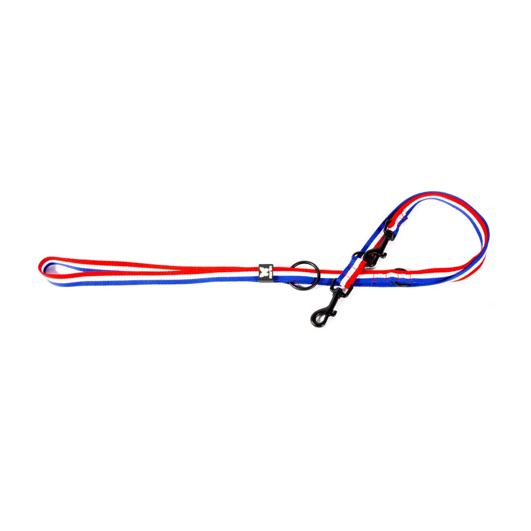 Martin Sellier Multicolore Multi-Position Dog Lead