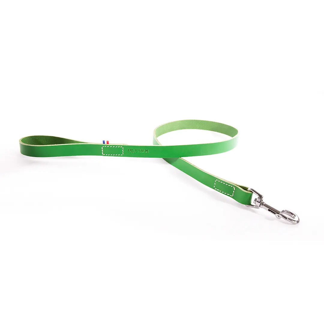 Meilleurs prix pour Laisse pour chien en cuir bicolore Martin Sellier 499