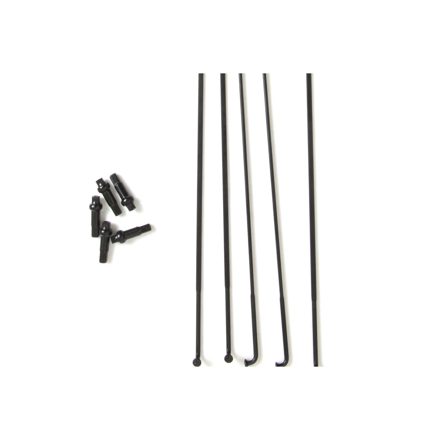 Velo Store - UK Rays Massi X-Tech | Extra 10% off with Subscription, Postage £16.79 to UK Fedex.