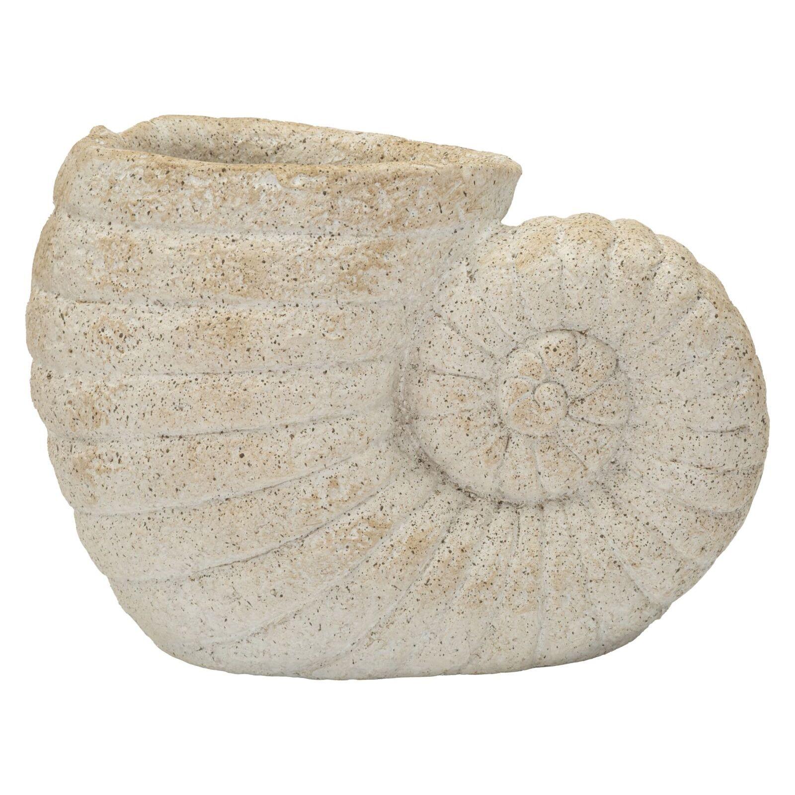 8024609387746 - Vase Shell A