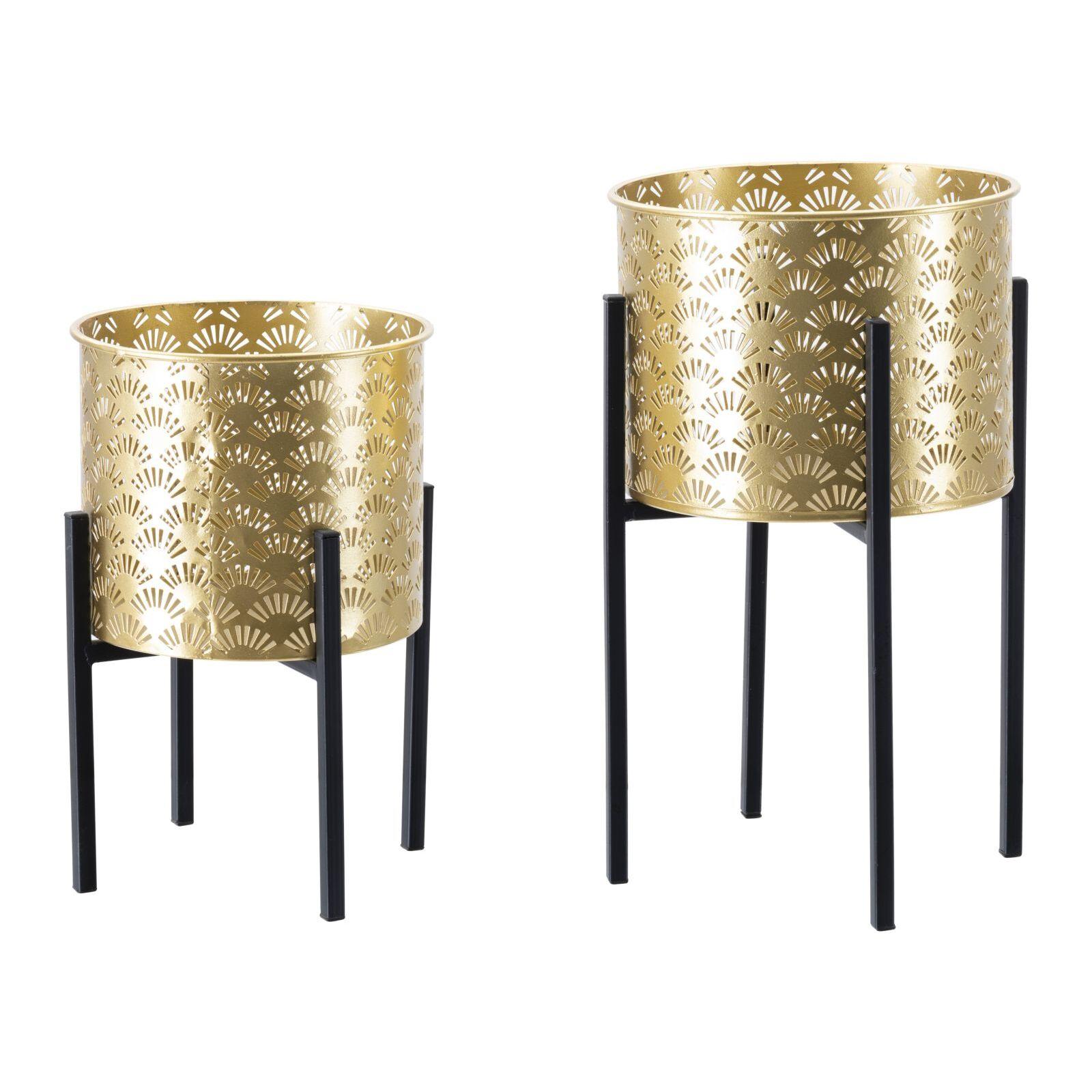 product/m/a/mauro-ferretti_142623000a_gold-black_1.jpg