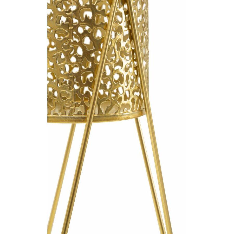 product/m/a/mauro-ferretti_1427850000_gold_2.jpg