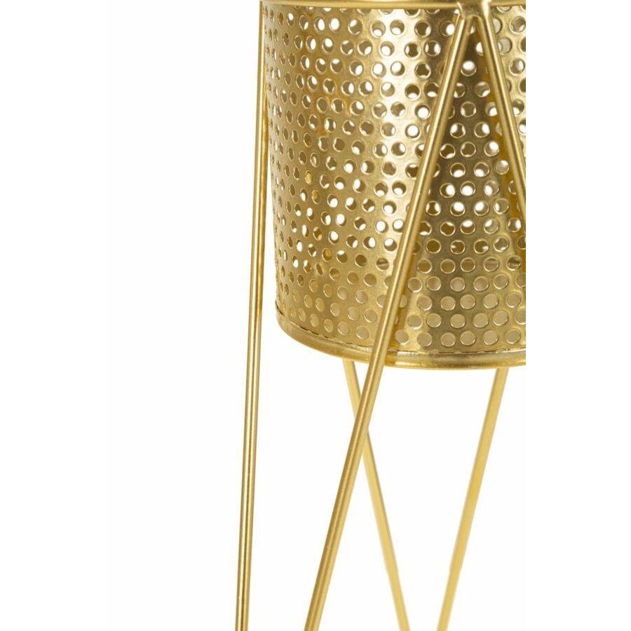 product/m/a/mauro-ferretti_1427860000_gold_4.jpg