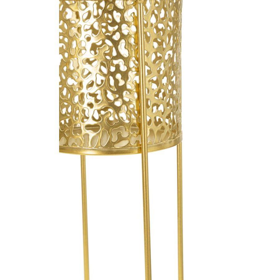 product/m/a/mauro-ferretti_1427870000_gold_4.jpg