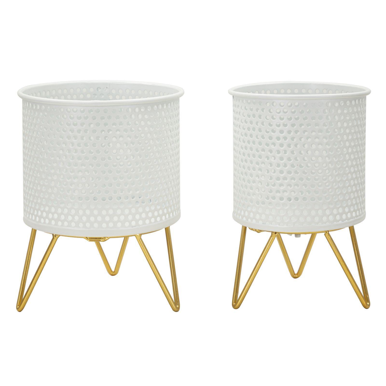 product/m/a/mauro-ferretti_1427920000_gold-white_1.jpg