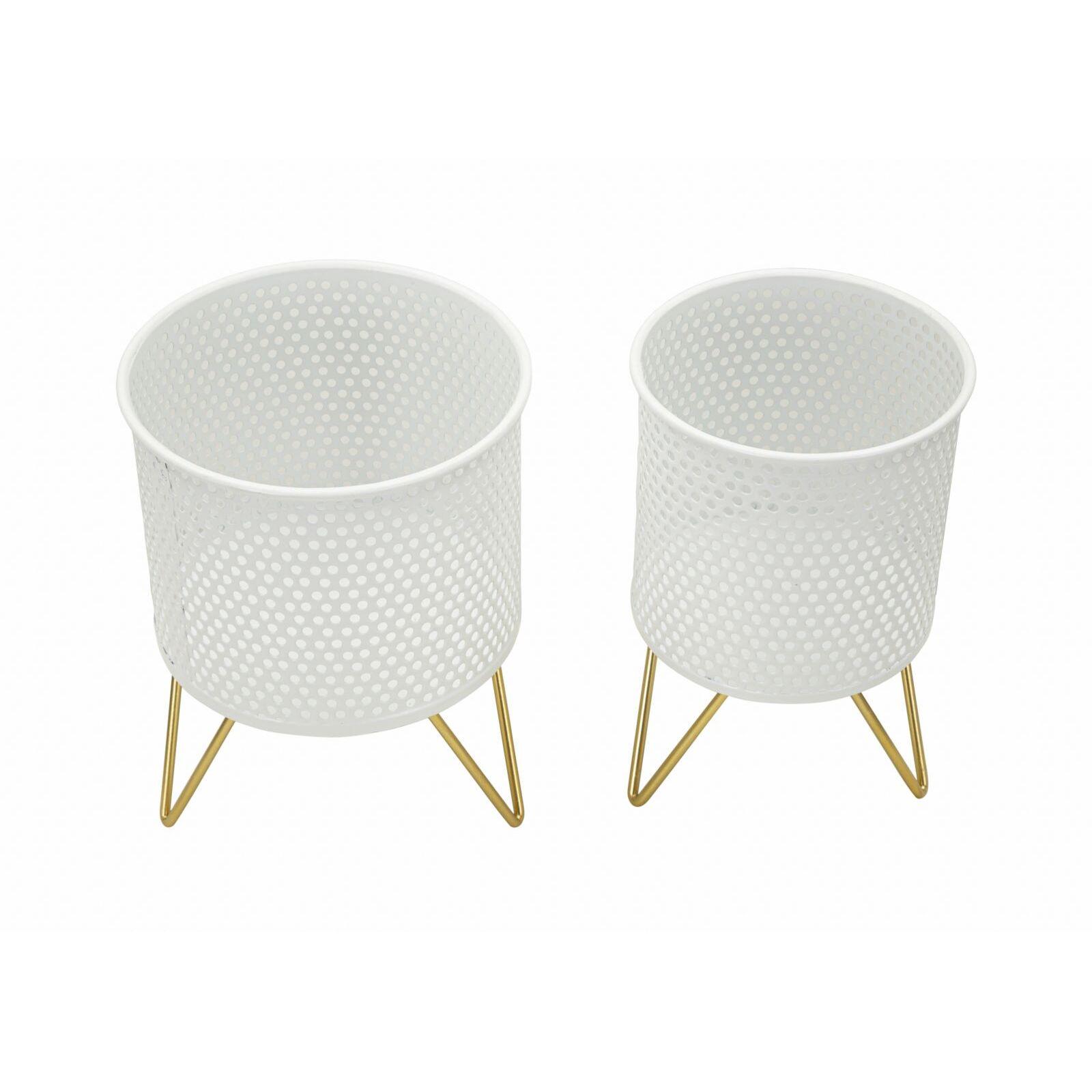 product/m/a/mauro-ferretti_1427920000_gold-white_2.jpg