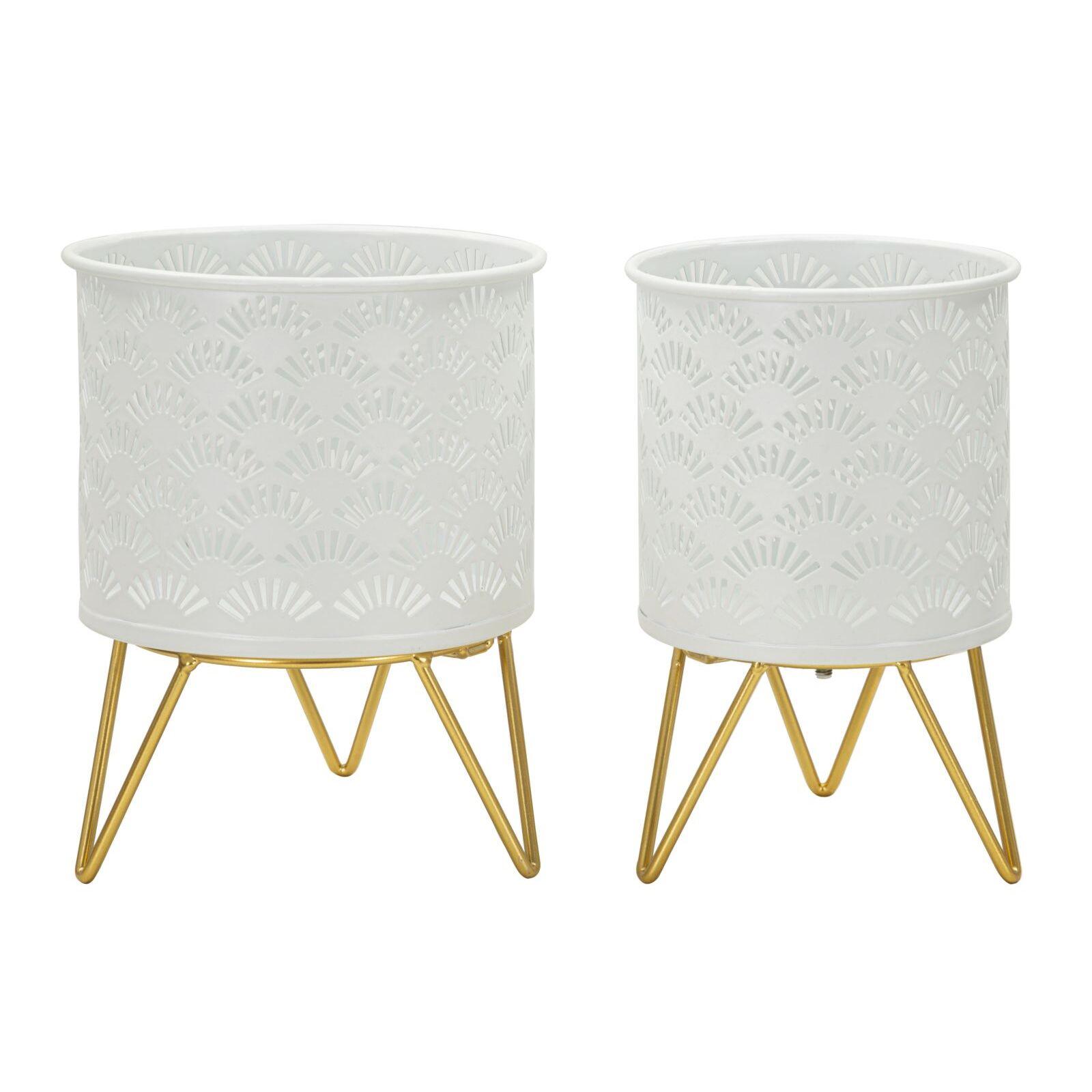 product/m/a/mauro-ferretti_1427930000_gold_1.jpg