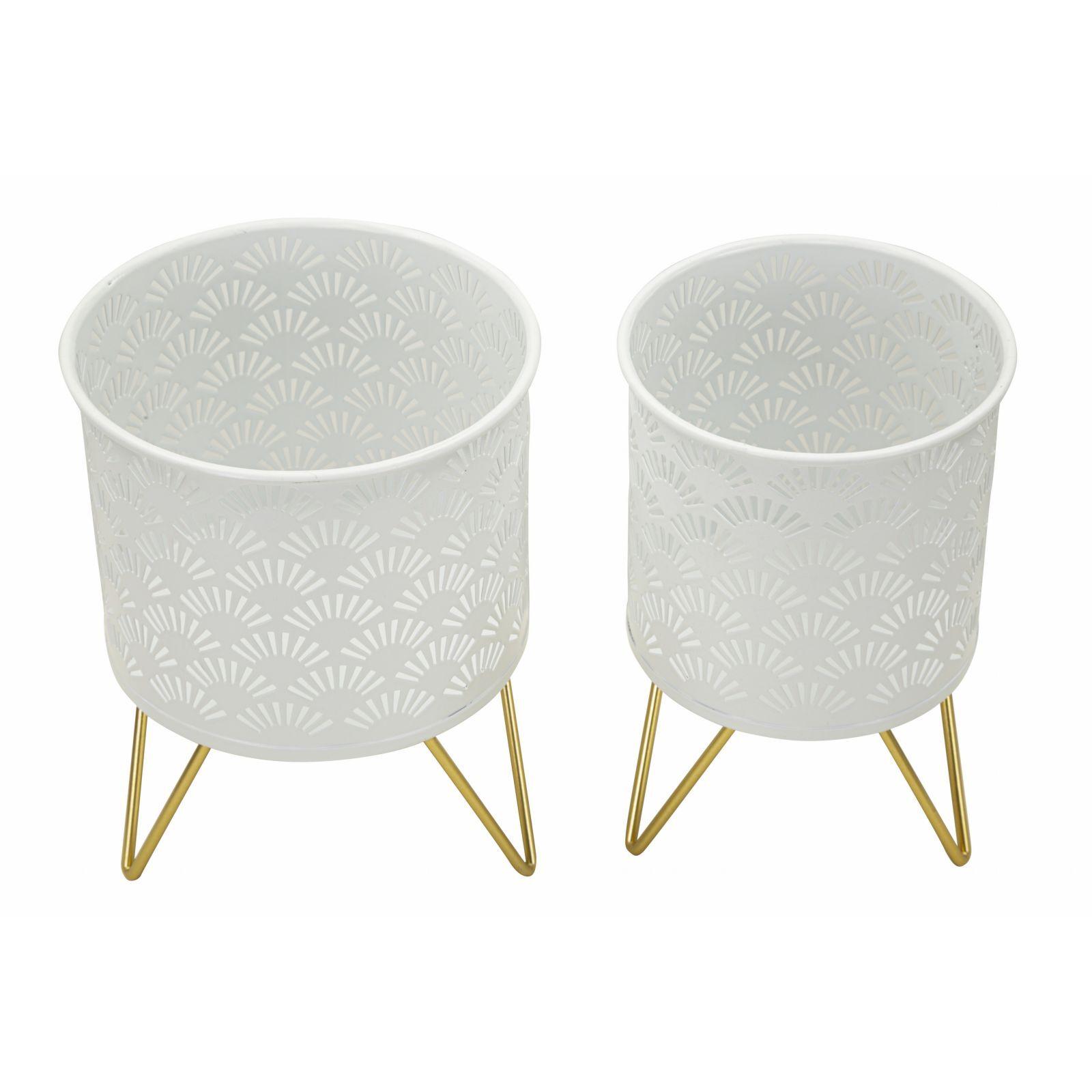 product/m/a/mauro-ferretti_1427930000_gold_2.jpg