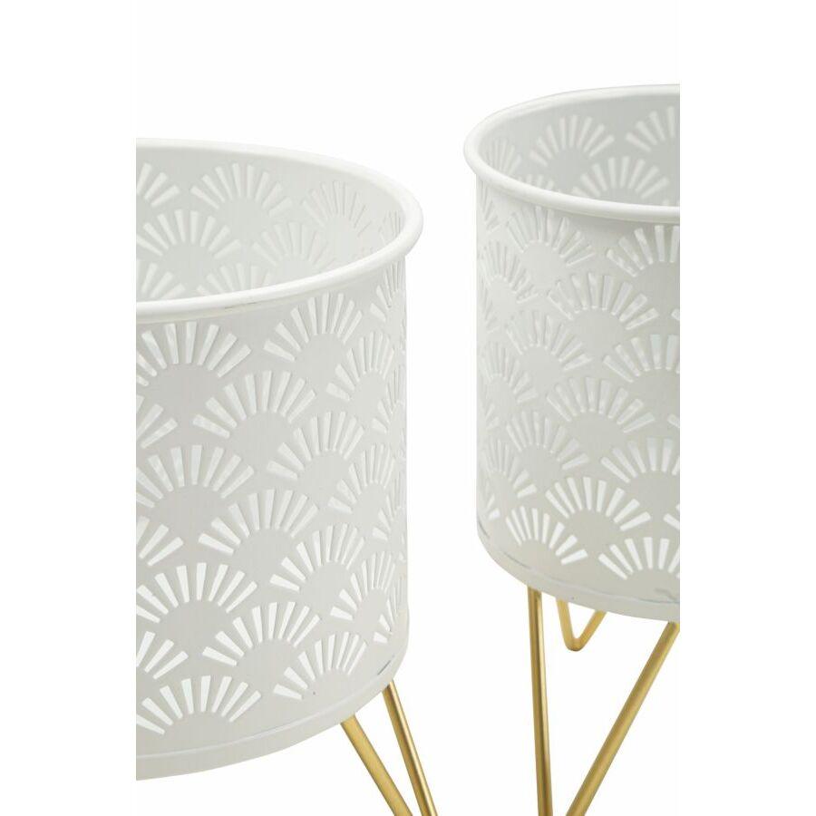 product/m/a/mauro-ferretti_1427930000_gold_3.jpg