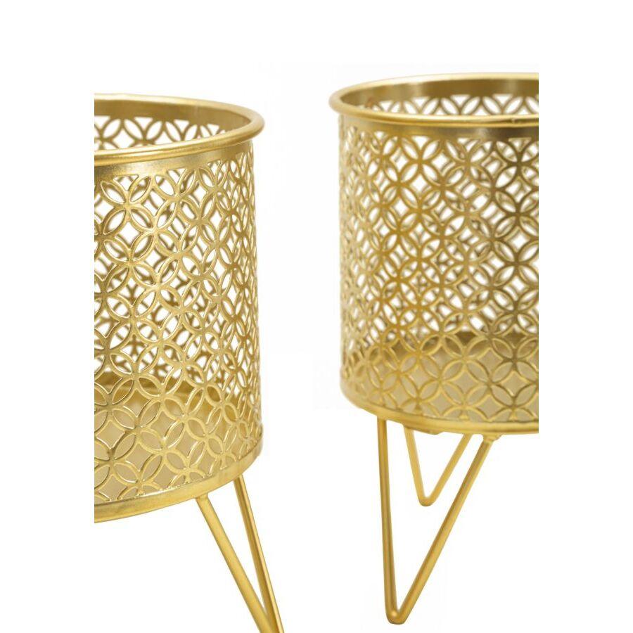 product/m/a/mauro-ferretti_1427940000_gold_3.jpg