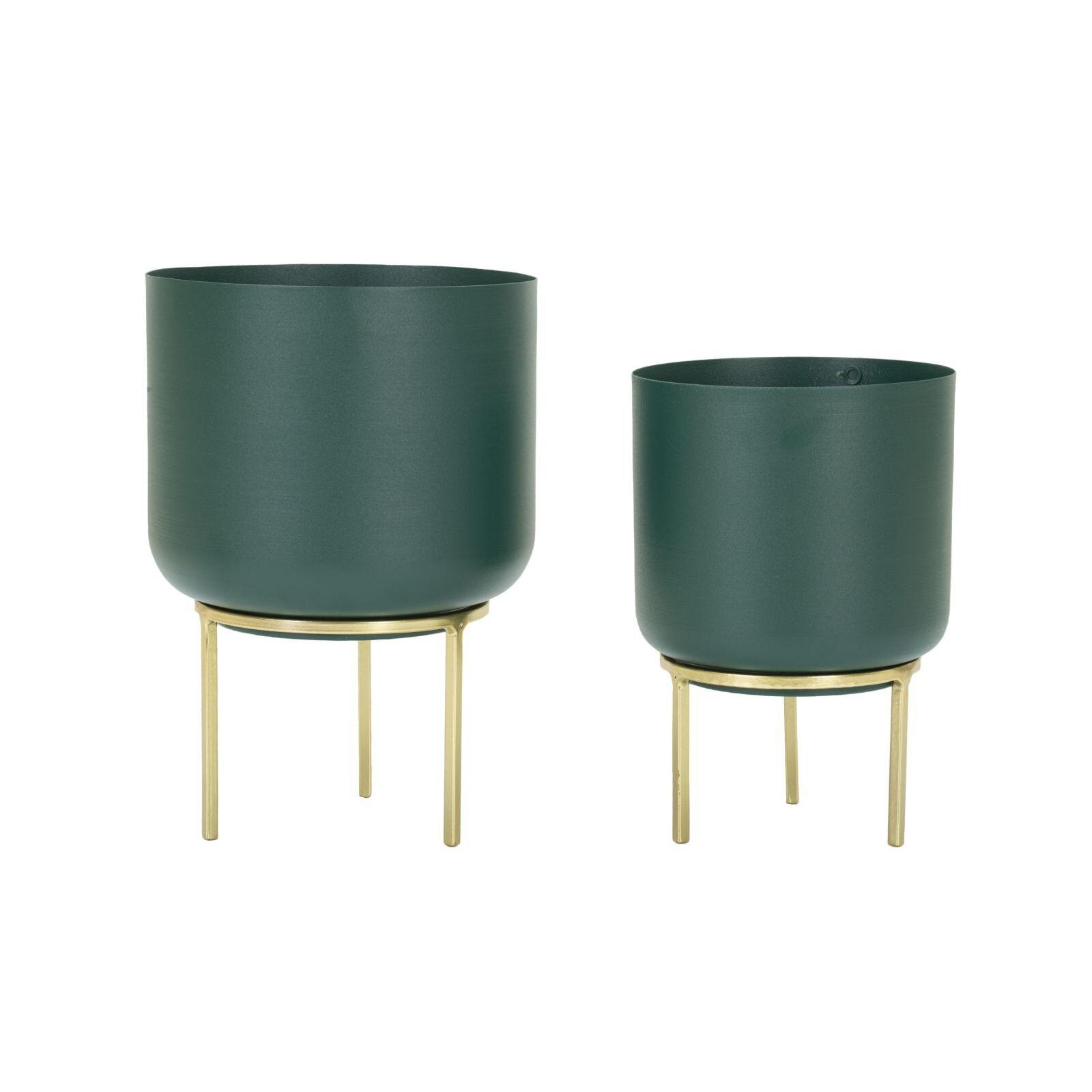 product/m/a/mauro-ferretti_1428610000_green-gold_1.jpg