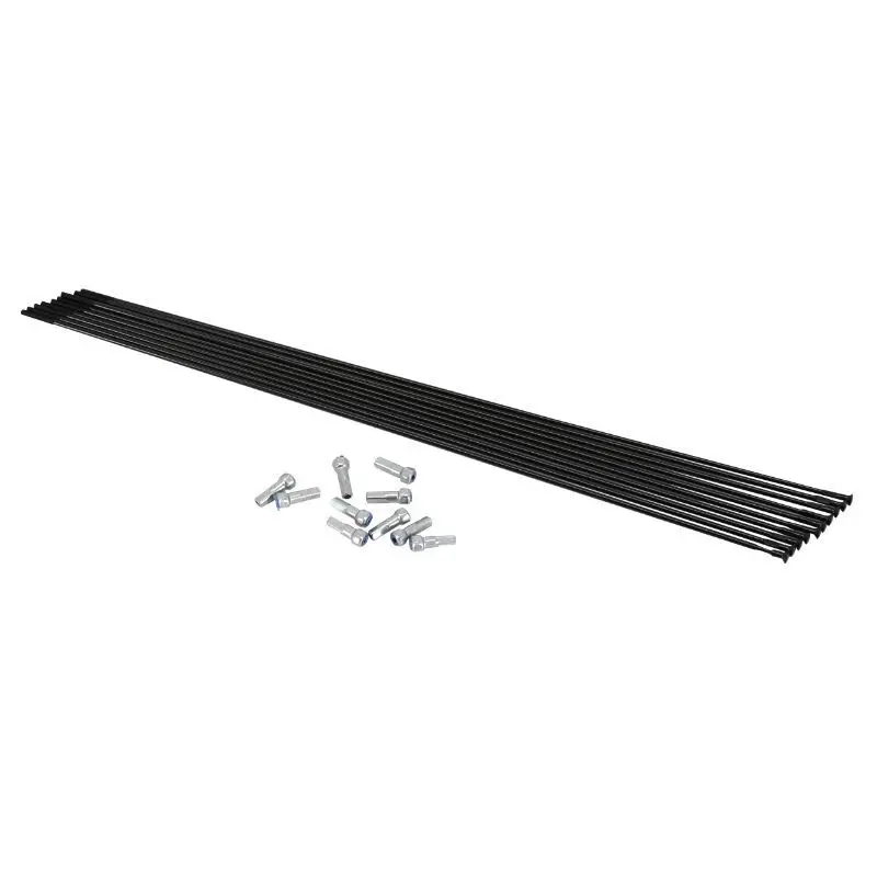 Image of Edelstahl gerade Stange Mavic Aksium (x10)