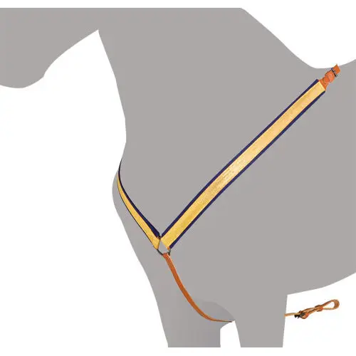 Accessoires de selle pour cheval Mehis Alta Escuela