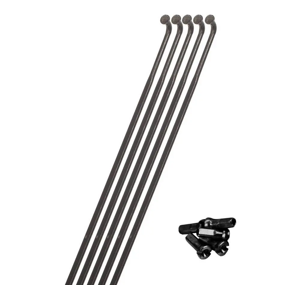 Rayon und Naben für das rechte Hinterrad Miche Reflex Dark DX (x5)