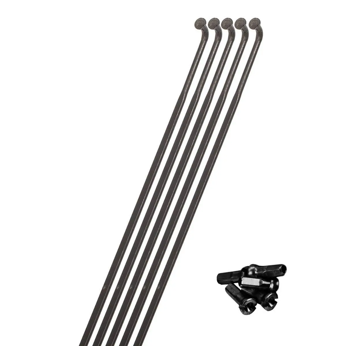 Rayon und Naben für das rechte Hinterrad Miche Excite (x5)