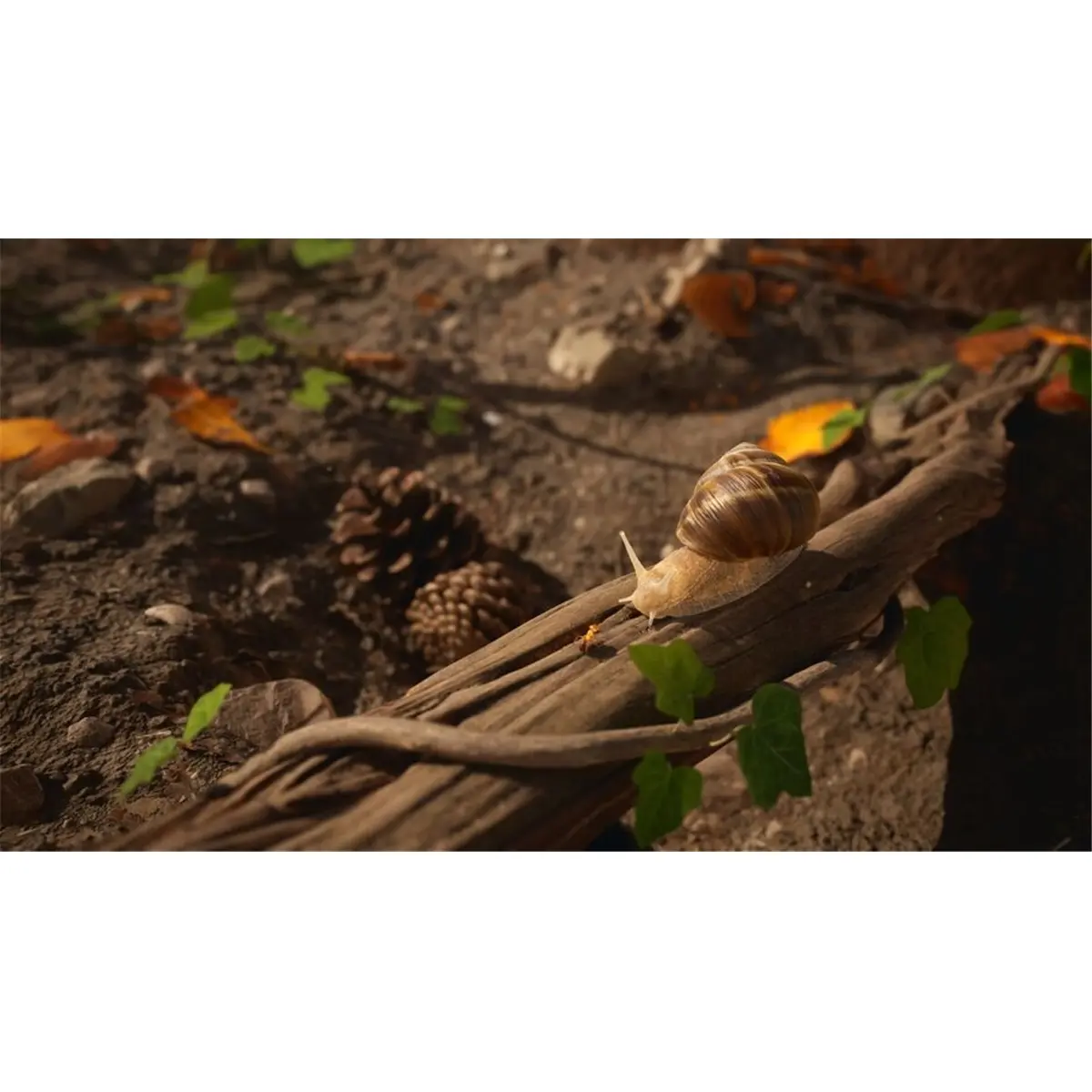 3701529506819 - Videospiele Les Fourmis Empire Of The Ants - PS5