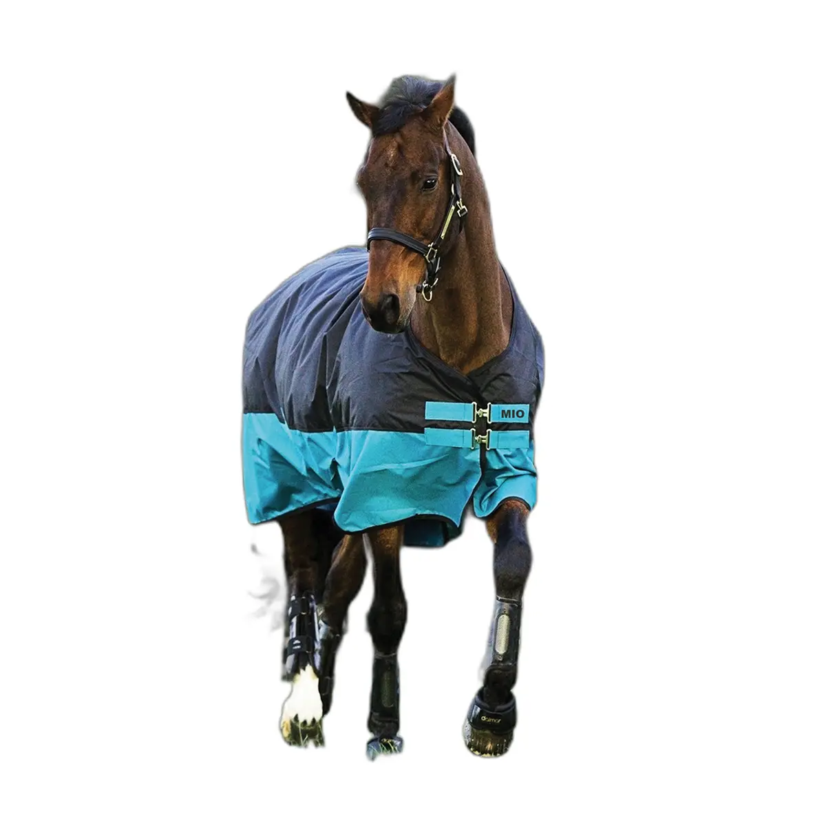 Comparer les prix de Couverture d'extérieur pour cheval Mio 200g