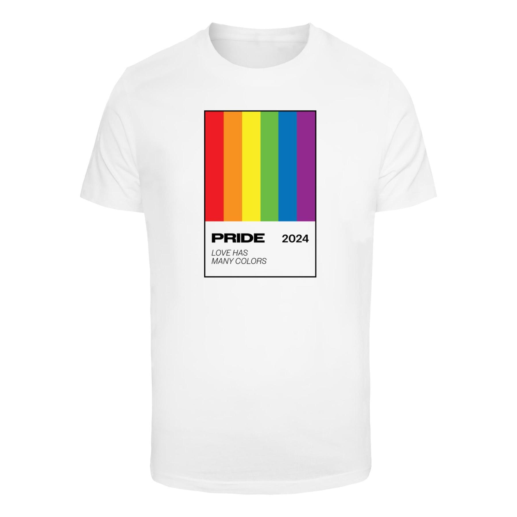 4068841906758 - T-Shirt Mister Tee Many Colors Pride